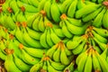 Closeup bundle of bananas