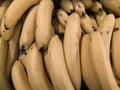 Closeup of a bundle of bananas in natural light Royalty Free Stock Photo