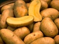 Closeup of a bundle of ripe potatoes