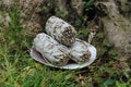 Closeup of bundles of dry white sage near a tree in a garden