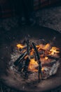 Closeup burning bonfire with glowing flame