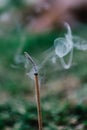 Closeup of a burning incense stick on a blurred background Royalty Free Stock Photo