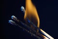 Closeup of burning matches isolated on a dark blurry background Royalty Free Stock Photo