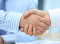 Closeup of a business hand shake Royalty Free Stock Photo