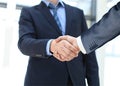 Closeup of a business hand shake Royalty Free Stock Photo