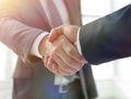 Closeup of Business Leader Shaking Partner Hand Royalty Free Stock Photo