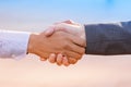 Closeup of business people handshake standing Royalty Free Stock Photo