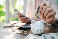 Closeup of business woman hand putting money into piggy bank for saving money. saving money and financial concept Royalty Free Stock Photo