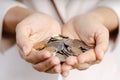 Closeup of business woman hands holding coins on white background. saving money, finacial concept