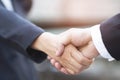 Closeup of a businessman hand shake businesswoman between two colleagues Royalty Free Stock Photo