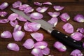 Closeup butcher knife with pink rose petals