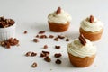 Closeup butter pecan cupcakes with crushed nuts