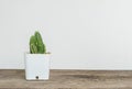 Closeup cactus in white plastic pot on blurred wood desk and white cement wall textured background with copy space Royalty Free Stock Photo