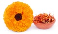 Closeup of calendula Royalty Free Stock Photo