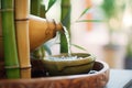 closeup of a calming bamboo water fountain Royalty Free Stock Photo