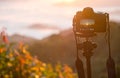 Closeup of a camera on a tripod outdoors. Royalty Free Stock Photo