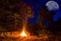 closeup camp fire in forest at the night Royalty Free Stock Photo