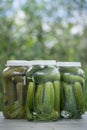 Closeup of canned cucumbers in three glass jars on the table in the garden. Outdoors. Pickled homemade sunny cucumbers