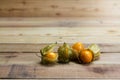 Closeup Cape gooseberry