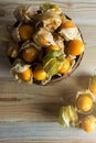 Closeup Cape gooseberry