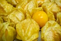 Closeup cape gooseberry on wooden table.