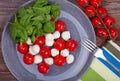 Closeup of Caprese Salad Royalty Free Stock Photo