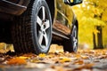 closeup of car tires treading over fallen autumn leaves