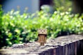 Closeup of cardboard box robot Danbo on stone surrounded with blur bush background - sadness concept