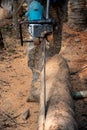 Closeup Carpenter is using chainsaws cut coconut Timber