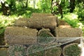 Closeup of carpet grass rugs outdoors with green and brown pattern. Lawn of green grass and soil is rolled into rolls Royalty Free Stock Photo