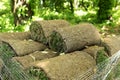 Closeup of carpet grass rugs outdoors with green and brown pattern. Lawn of green grass and soil is rolled into rolls Royalty Free Stock Photo
