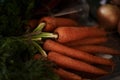 Closeup, carrot and food for health and cooking, wellness and nutrition with vegan or vegetarian meal prep. Orange Royalty Free Stock Photo