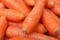 Closeup of carrots Royalty Free Stock Photo
