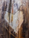 Closeup carved into a tree trunk texture in the shape of a heart