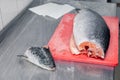 Closeup carving whole fresh norwegian salmon fish with heads on red cutting board in professional kitchen restaurant, preparing Royalty Free Stock Photo