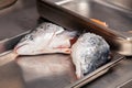 Closeup carving whole fresh norwegian salmon fish with heads on red cutting board in professional kitchen restaurant, preparing Royalty Free Stock Photo