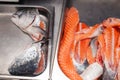 Closeup carving whole fresh norwegian salmon fish with heads on red cutting board in professional kitchen restaurant, preparing Royalty Free Stock Photo