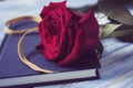 Red rose, catalan flag and book Royalty Free Stock Photo