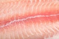 Closeup catfish closeup background Royalty Free Stock Photo