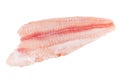 Closeup catfish fillet Royalty Free Stock Photo