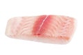 Closeup catfish slice Royalty Free Stock Photo