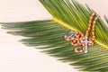 Closeup Catholic rosary with crucifix and beads on palm leaf