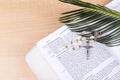 Closeup Catholic rosary with crucifix and beads on palm leaf