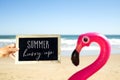 Text summer hurry up and flamingo swim ring