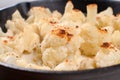 Closeup cauliflower baked florets in cast iron pan Royalty Free Stock Photo