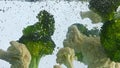 Closeup cauliflower broccoli floating in water. Vegetable flowing underwater. Royalty Free Stock Photo