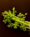 closeup celeri leaves on brown background Royalty Free Stock Photo