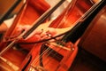 Closeup of cellist hands playing cello orchestra music instrument.Cello player. Hands of a musician with a bow stick playing the d Royalty Free Stock Photo