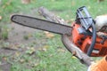 Closeup of a chainsaw in a man's hands cutting a branch