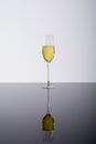 Closeup of champagne flute with reflection on glass table, drink against white background Royalty Free Stock Photo